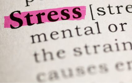 Gesundheit erleben. Stressmanagement